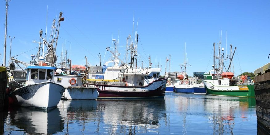 UniforTheUnion's tweet card. Unifor is deeply concerned about ongoing tariff threats from the United States and the imposition of tariffs by China on Canadian seafood products. These tariffs pose a genuine threat to the liveli...