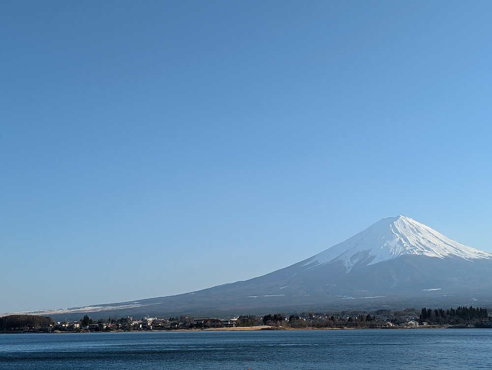 KurakuLabMSM's tweet card. Here are planned presentations at international conferences or English-spoken talks at Japanese meetings about the main projects of our lab.Oral presentation 'Unraveling shark and ray evolution...