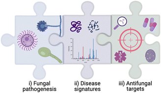 MolecularOmics's tweet card. The occurrence and distribution of new and re-emerging fungal pathogens, along with rates of antifungal resistance, are rising across the globe, and correspondingly, so are our awareness and call for...