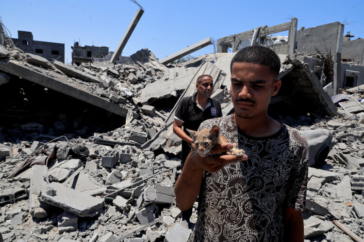 spunkygaga's tweet card. Israeli Prime Minister Benjamin Netanyahu and U.S. President Donald Trump appeared on Friday to abandon Gaza ceasefire negotiations with Hamas, both saying it had become clear that the Palestinian...