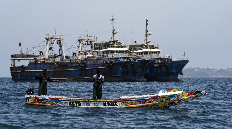 SeaAroundUs's tweet card. Senegal’s fish are vanishing—and so are its fishers.