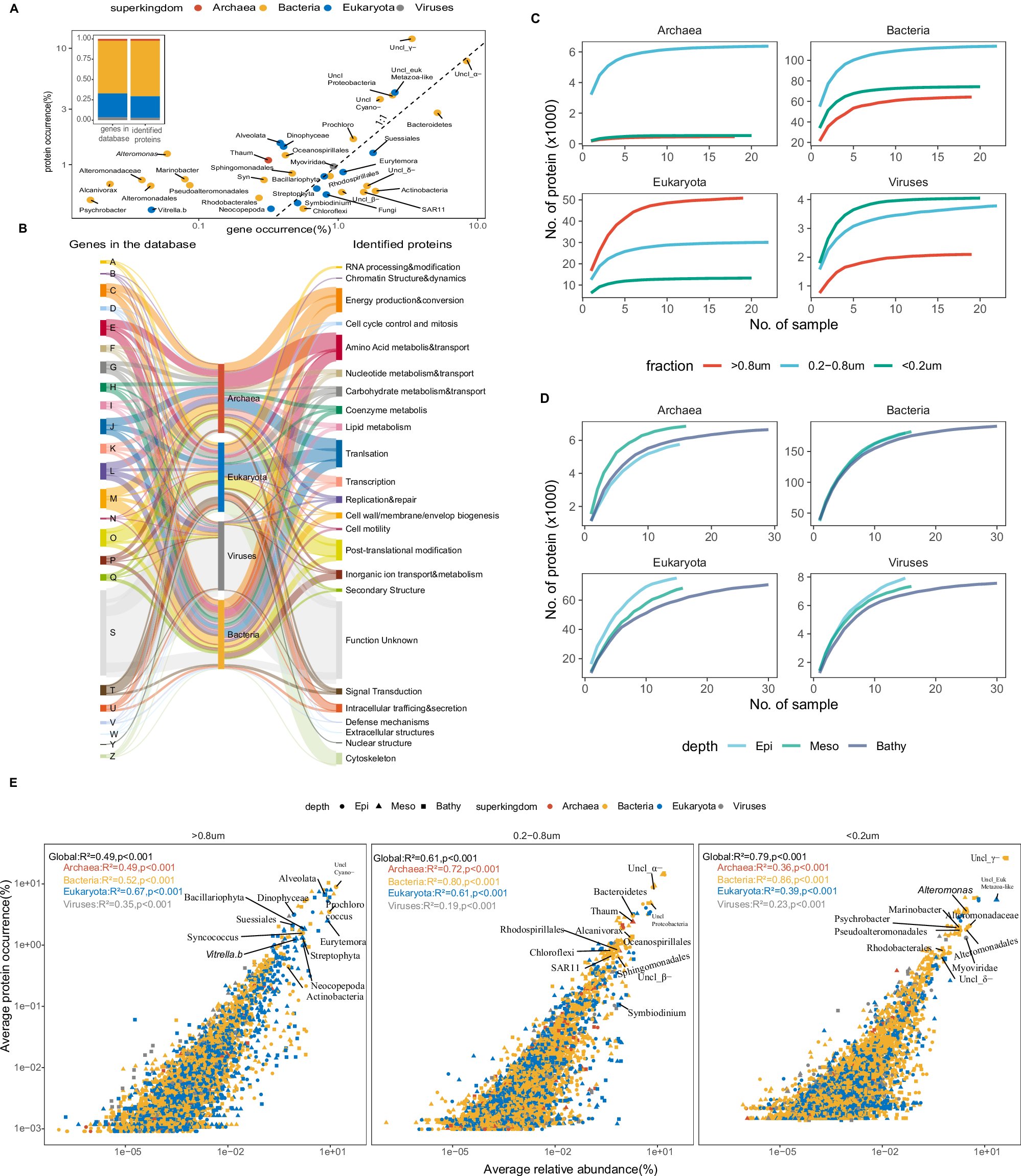 microbialoceanW's tweet card. Nature Communications - This study analysed metaproteomic samples collected from the Pacific, Atlantic and Southern Oceans to reveal size-fractionated patterns of the structure and function of the...