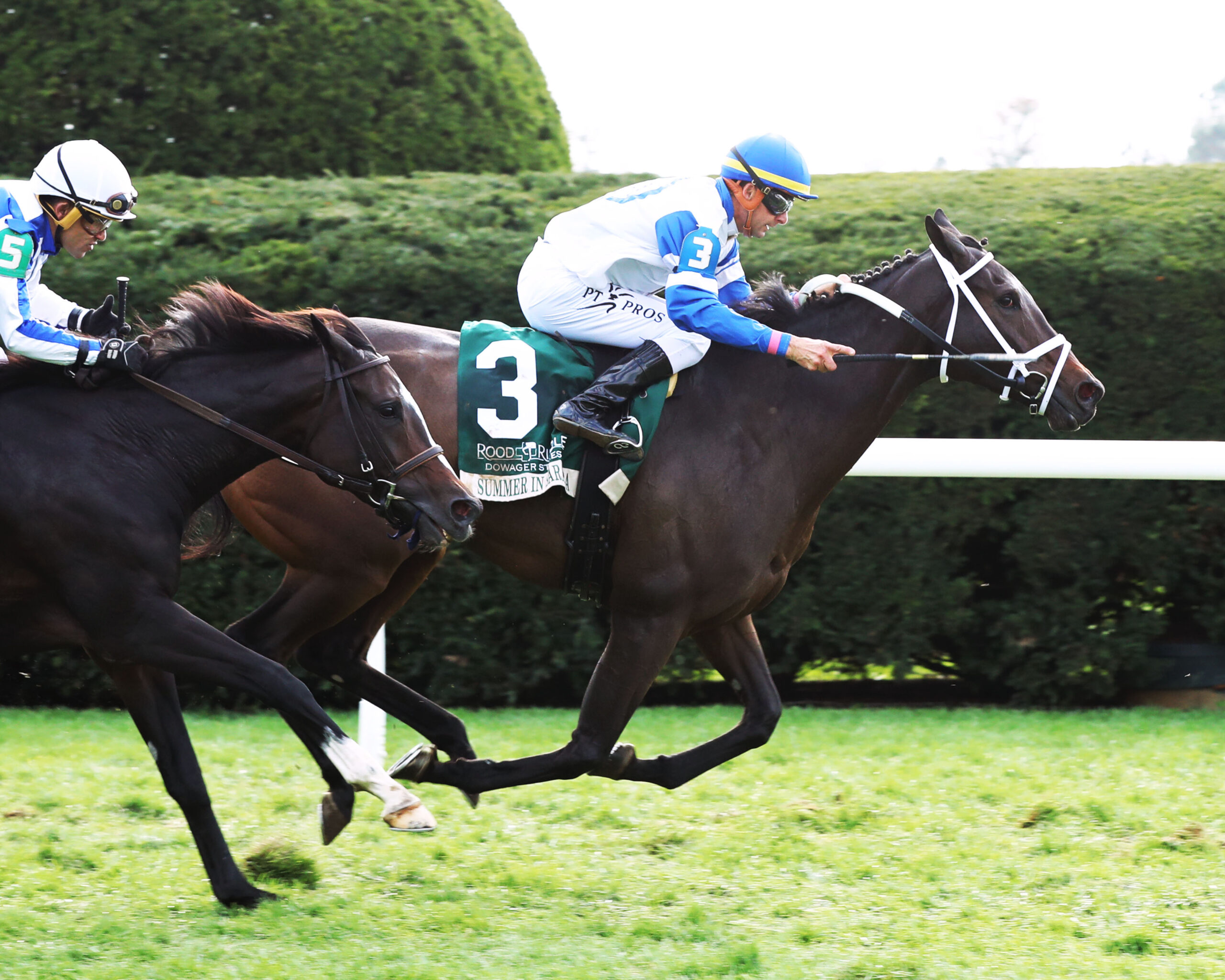 OPTIMAL_Matings's tweet card. Pedigree matters: more than promotion, more than instincts, more than most people admit. If you're breeding, buying, or pinhooking Thoroughbreds and still .....
