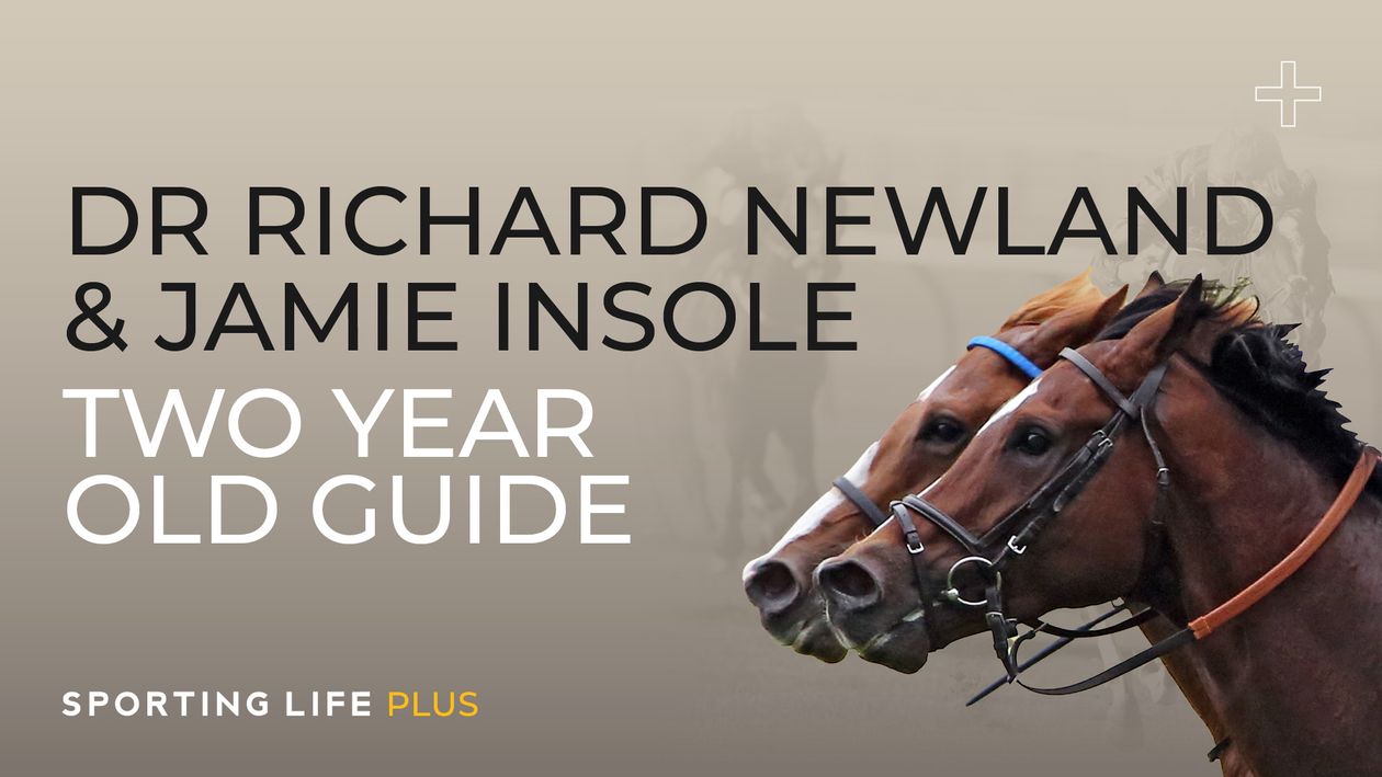 DanBriden's tweet card. Jamie Insole is the latest trainer to talk Dan Briden through his two-year-old team for the months ahead.