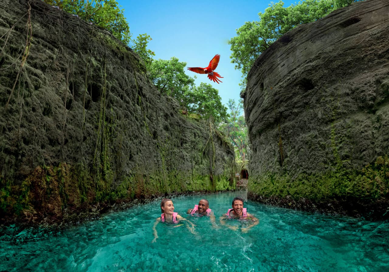 SelvameMX's tweet card. Playa del Carmen, Q. Roo. — A partir de este mes, el reconocido parque ecológico Xcaret, ubicado en Playa del Carmen, implementará un nuevo modelo de operación que limita el número de accesos...