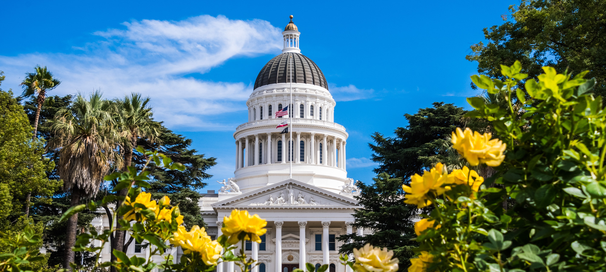 PPICNotes's tweet card. Want to see how your views on key issues compare to those of other Californians? Answer a few questions from the latest PPIC survey and find out.