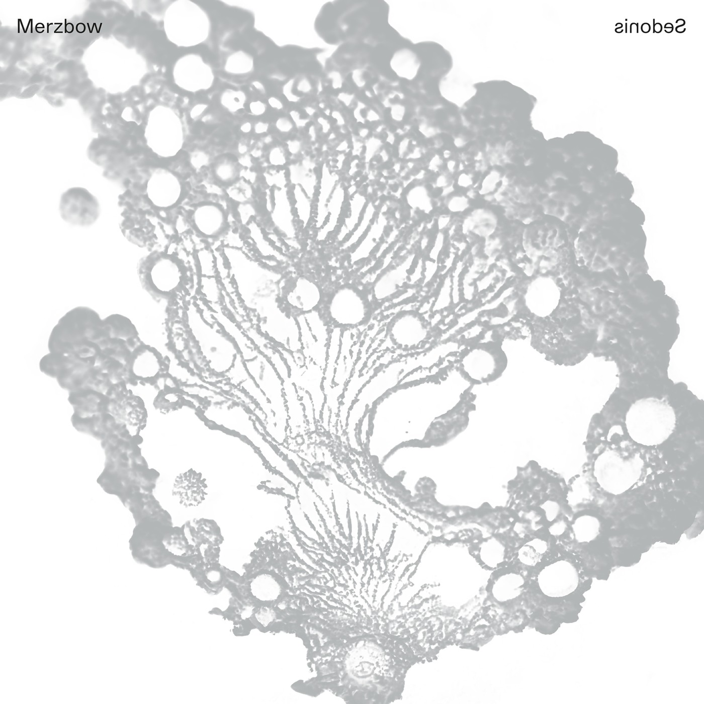 sssssnnnnnwtf's tweet card. Merzbow's Sedonis A delivers dense, glitch-driven textures and experimental noise. Lead track from upcoming album Sedonis on Signal Noise, out June 27.