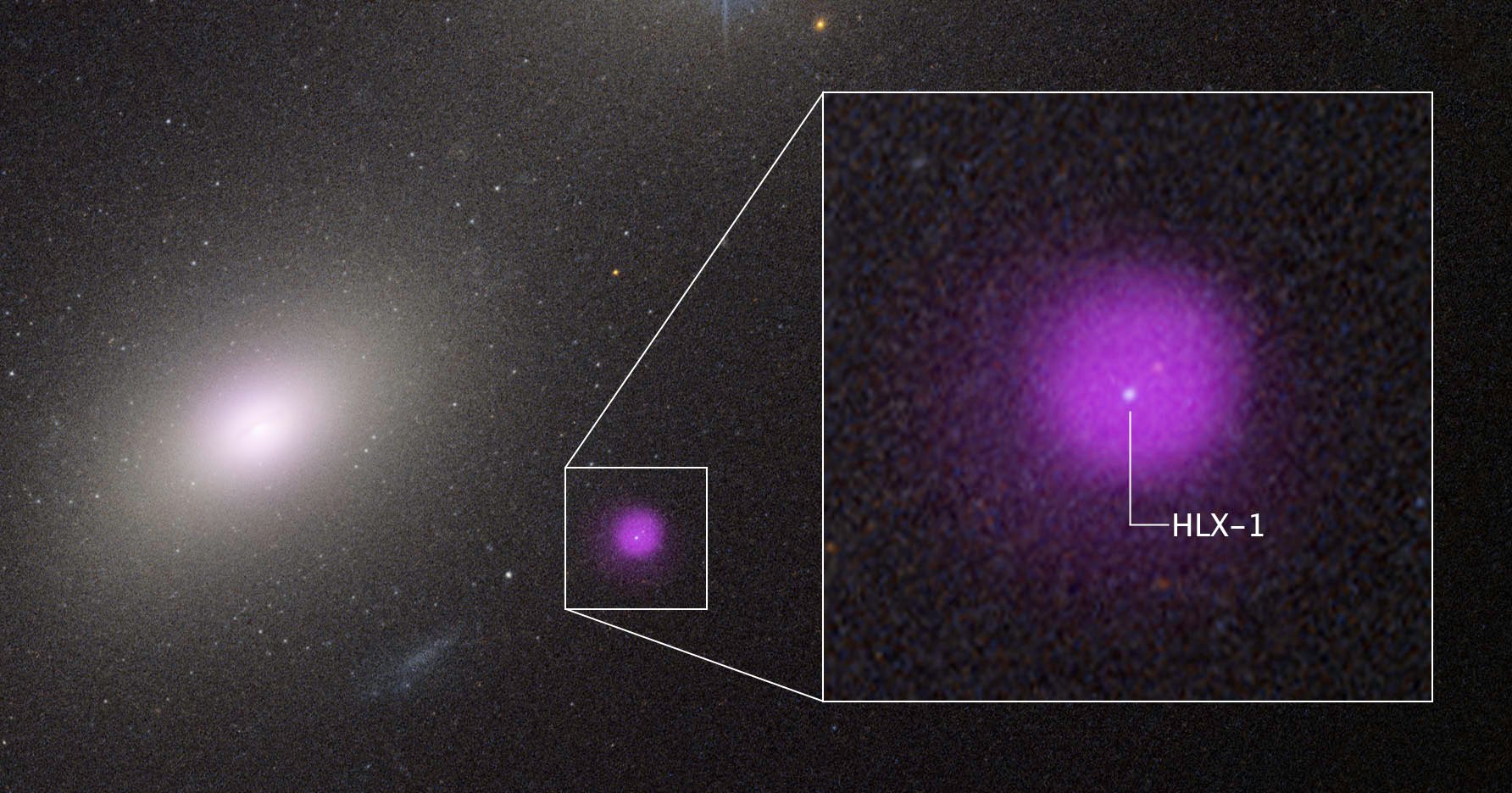 petapixel's tweet card. Rarely observed medium-sized black holes may offer key insights into supermassive black holes.
