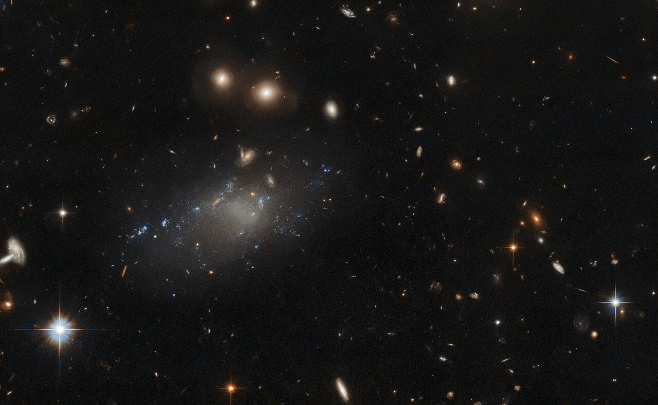 AASNova's tweet card. With their extremely low-surface-brightness, ultra-diffuse galaxies are very difficult to detect, but a recent study has spotted one by searching for its globular clusters.