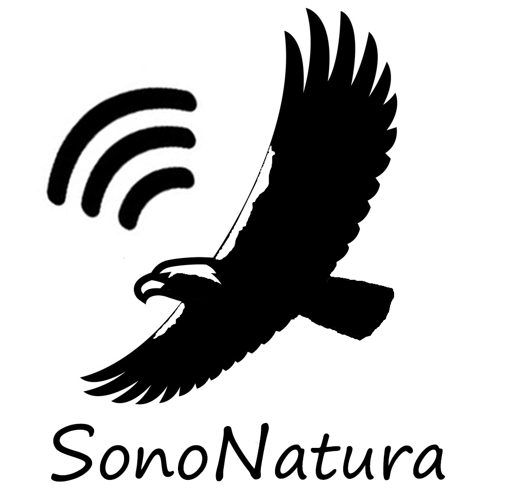 sononatura's tweet card. Sitio web del grabador de sonidos de la naturaleza Javier García Sáez, en el que plasma las actividades que realiza y una selección de grabaciones.