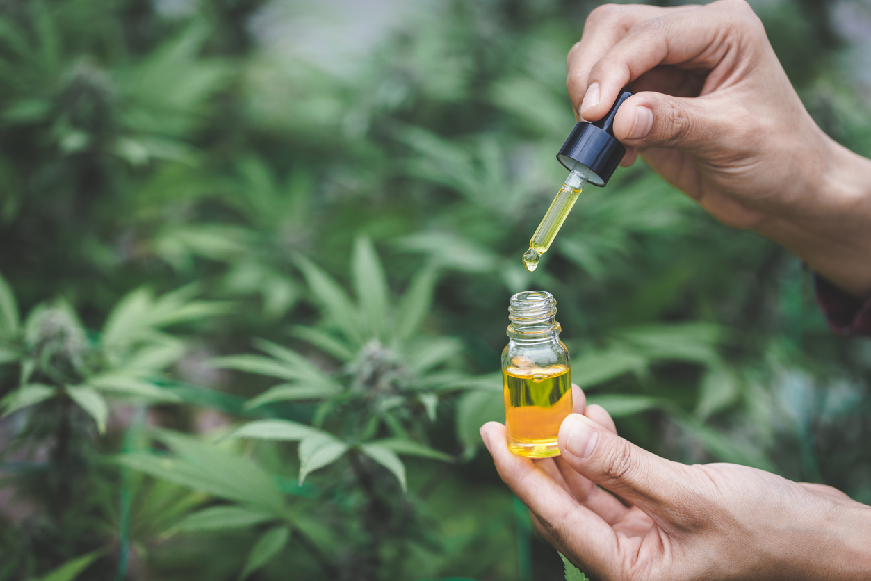 AMartinelliWA's tweet card. High-CBD cannabis extract may significantly reduce inflammation and regulate immune activity in rheumatoid arthritis (RA), according to a new study published in Frontiers in Immunology. The research,...