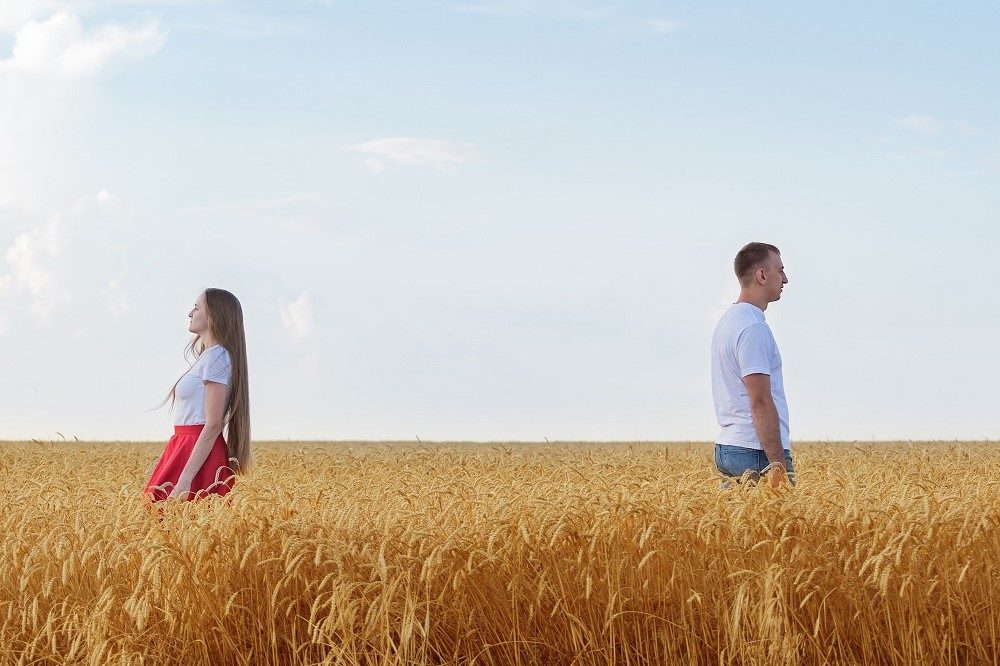 MichAgToday's tweet card. Going through a divorce can be very difficult. It can be even more difficult if you’re a farmer or livestock producer and the process involves the assets of your farming operation. Jackie Hallberg is...