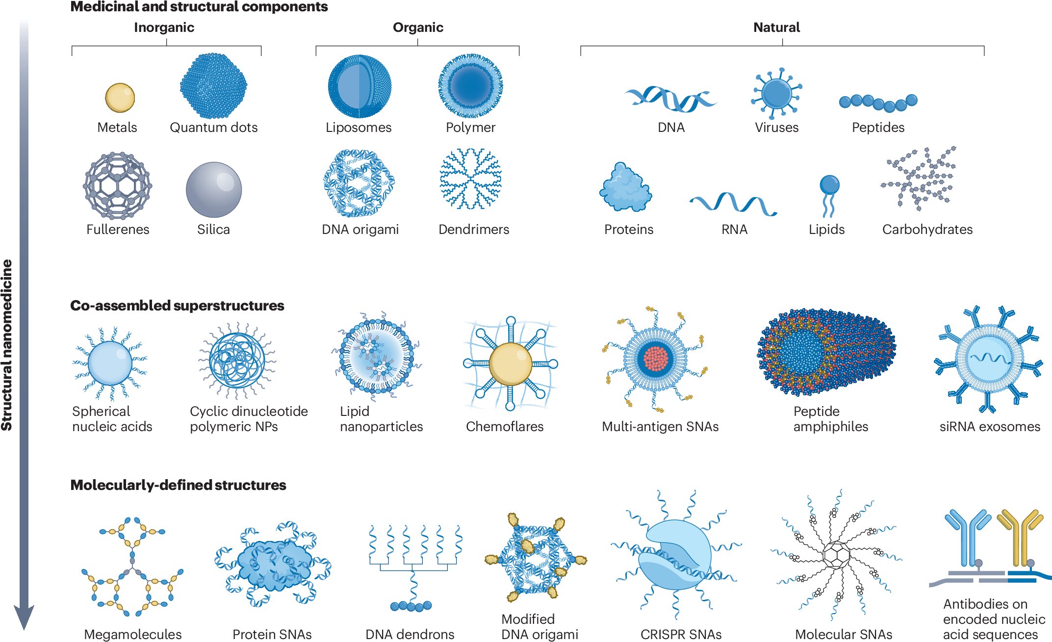 IINanoNU's tweet card. Nature Reviews Bioengineering - The lack of structural definition in nanomedicines limits therapeutic efficacy and complicates regulatory approval. Here, we emphasize that defining, designing and...