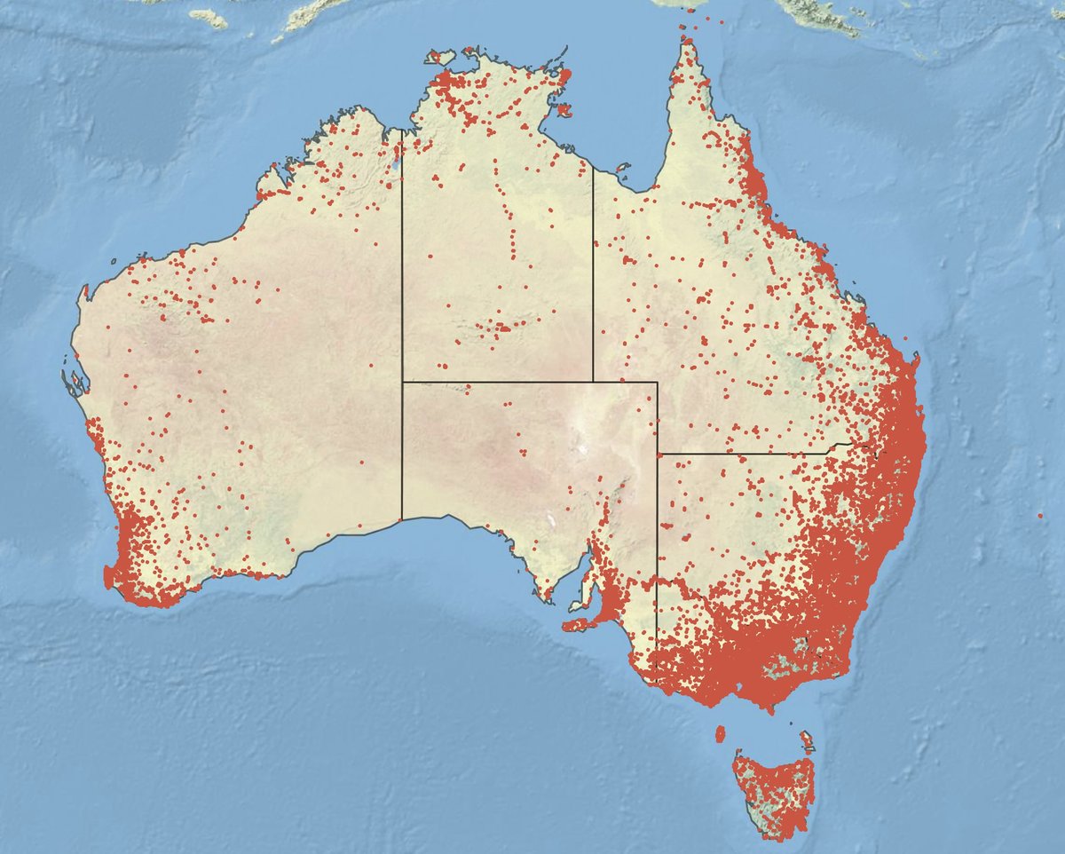 FrogIDAus's tweet card. The sixth annual release of FrogID data is now published open-access and online to help inform frog ecology and conservation.