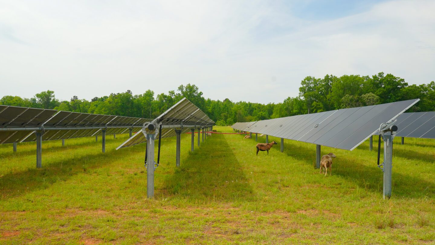 Lee_BenjaminC's tweet card. Tech companies built and planned to solar farms all over Georgia to power their data centers. But AI demanding more.