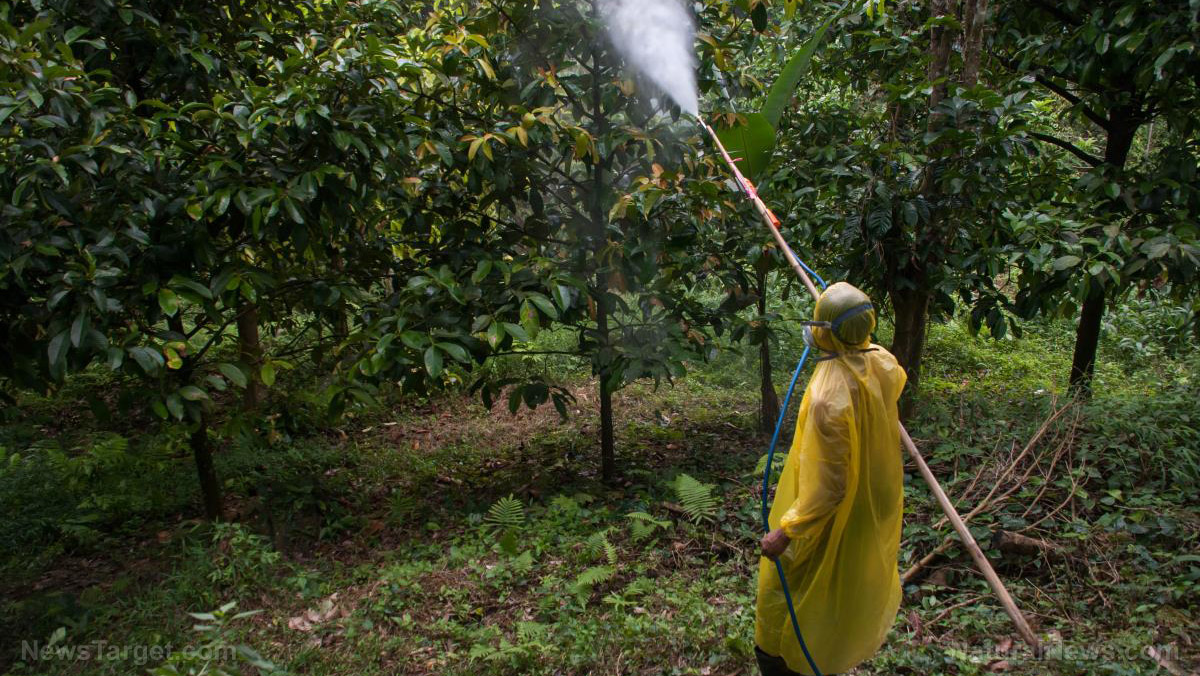 ChampagneCatRTM's tweet card. The same biotech firm that birthed Moderna—the company behind one of the most controversial COVID-19 vaccines—is now turning its sights on the food supply. Flagship Pioneering, the venture capital...