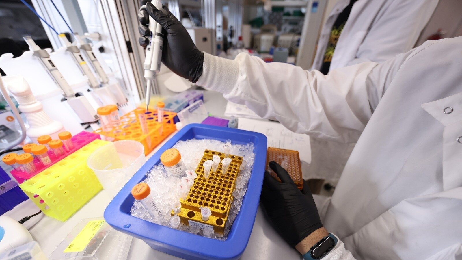 davidjloane's tweet card. Petition to Reverse the NIH Indirect Cost Cap (NOT-OD-25-068)