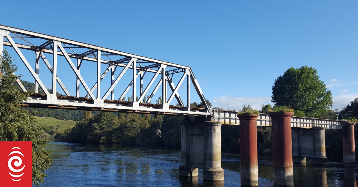 CheckpointRNZ's tweet card. Playing chicken with trains continues to plague the Waikato town of Ngāruawāhia. A new video on social media shows seven kids jumping from the rail bridge into the Waikato River just as a train...