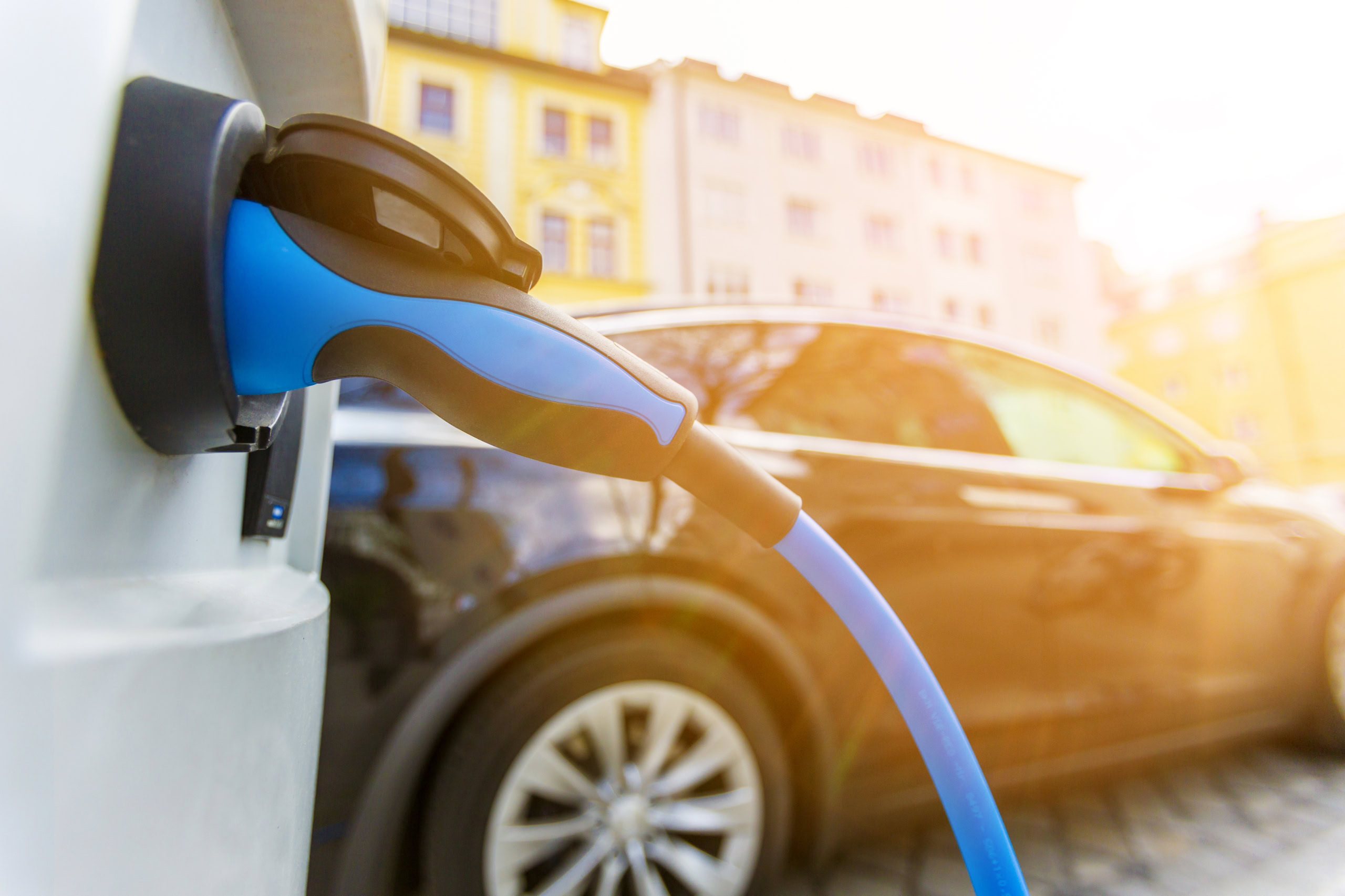cleanenergycan's tweet card. TORONTO — Clean Energy Canada executive director Rachel Doran and director of public affairs Joanna Kyriazis drafted the following response to reports that the federal government is considering...