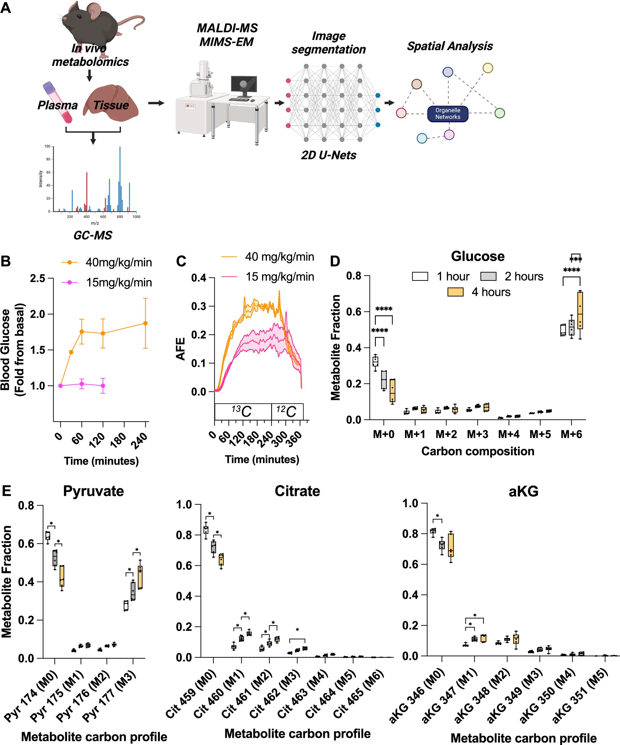 SableSysInt's tweet card. Nature Communications - Most metabolic studies using traditional procedures fail to reveal the spatial patterning associated with metabolic flux and cellular metabolism within tissue...