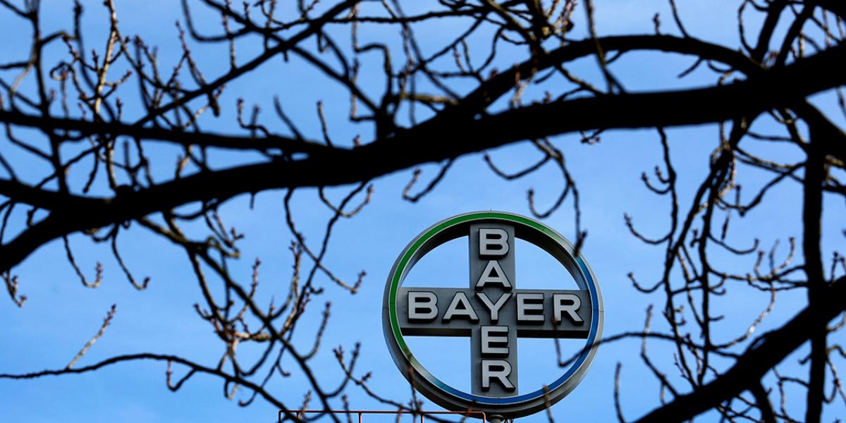 MaribelRCoronel's tweet card. Bayer había estado preparando el lanzamiento al mercado del elinzanetant este año, esperando un pico potencial de ventas anuales de al menos 1,000 millones