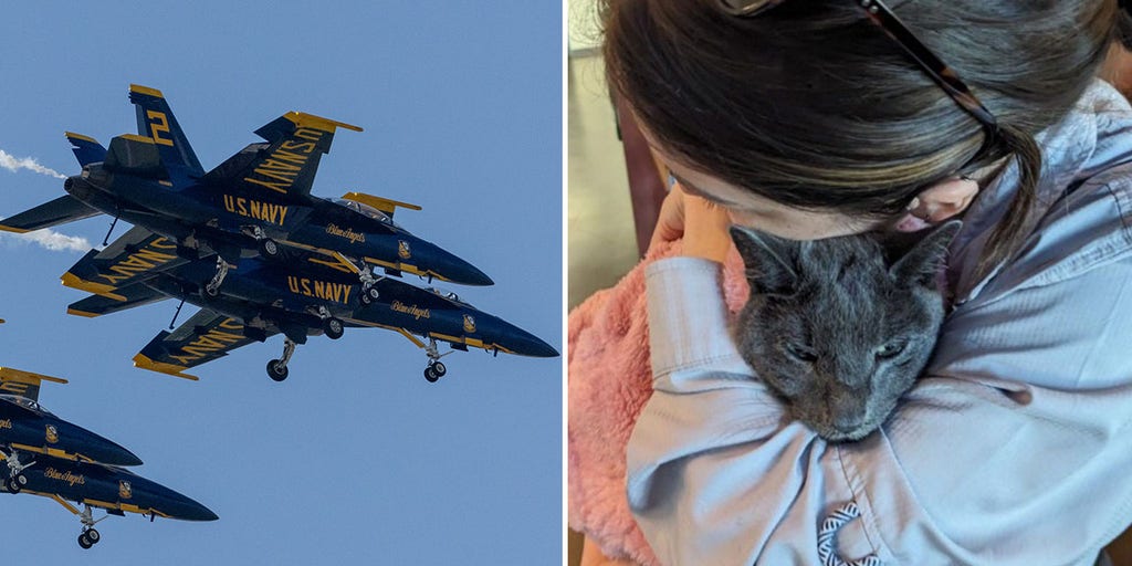 michaelaleach's tweet card. A lawsuit claims the Blue Angels violated First Amendment rights by blocking a Seattle resident who criticized noise levels that reportedly harmed her cat.