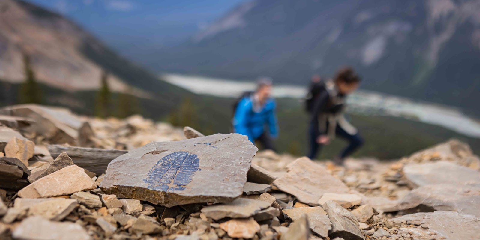 usatodaytravel's tweet card. National parks in British Columbia offer the same jaw-dropping scenery as their Alberta counterparts with a more laid-back vibe.
