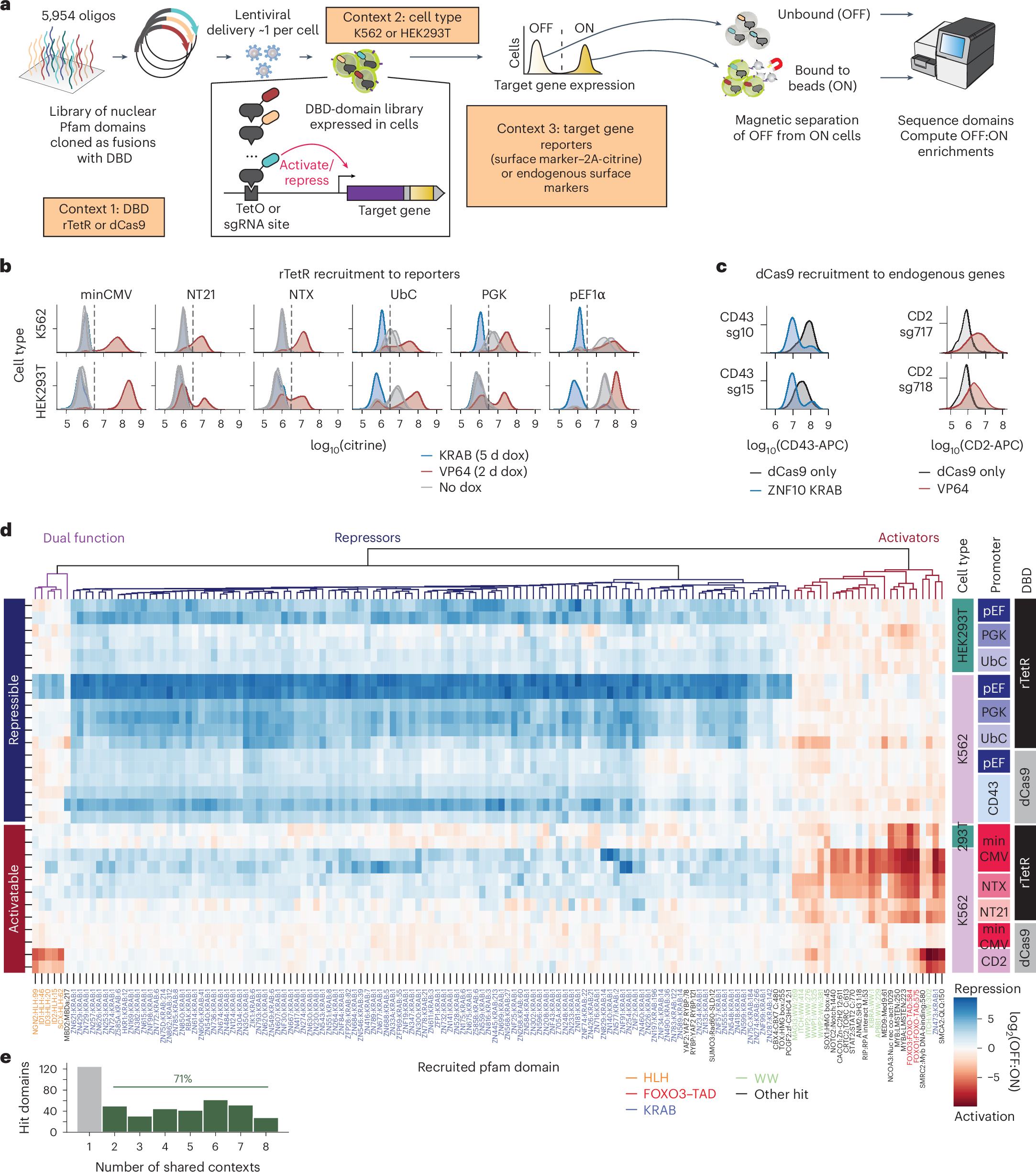 JoshTycko's tweet card. Nature Biotechnology - Improved effectors for CRISPRi/CRISPRa are developed following high-throughput screening of transcriptional domains.