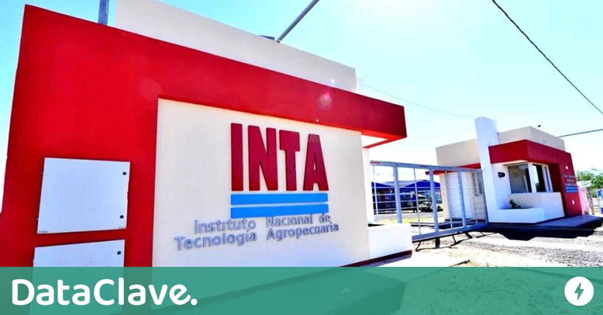 Dataclave's tweet card. El Gobierno nacional profundiza su el vaciamiento en el Instituto Nacional de Tecnología Agropecuaria (INTA). Tras comunicar que se transformará en un organismo desconcentrado dentro de la Secretaría...