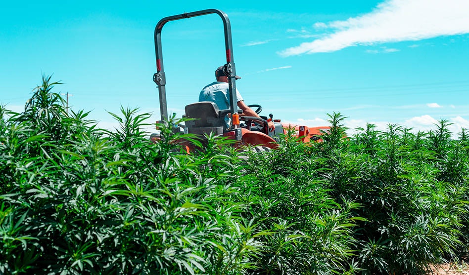 CBTmag's tweet card. The Senate Appropriations Committee approved legislation to redefine hemp in an attempt to close a ‘loophole’ from the 2018 Farm Bill.