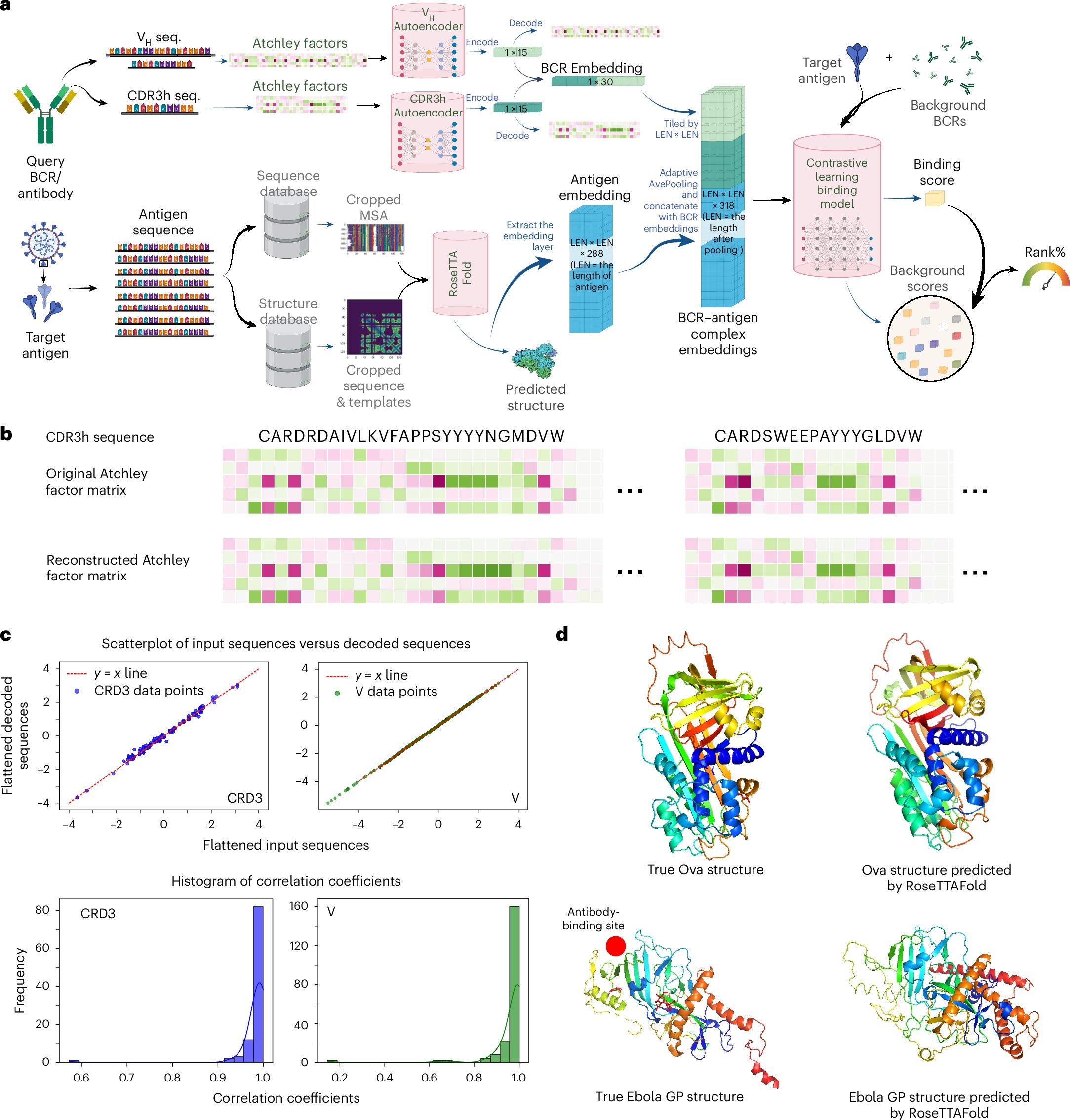 NatureCancer's tweet card. Nature Cancer - Song et al. developed a computational tool to profile binding pairs between tumor-derived antigens and antibodies from high-throughput B cell receptor sequencing data, predicting...