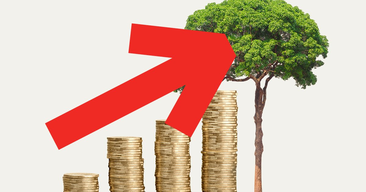 AlexHREID's tweet card. A new analysis reveals that Chinese banks have become the largest creditors to “forest-risk” companies, after major producing countries Brazil and Indonesia