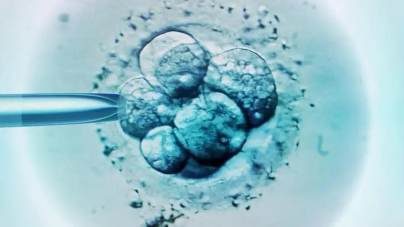 ChemaTierraNews's tweet card. Un método de reproducción asistida está reduciendo las enfermedades mitocondriales en recién nacidos. Es una iniciativa de Reino Unido.