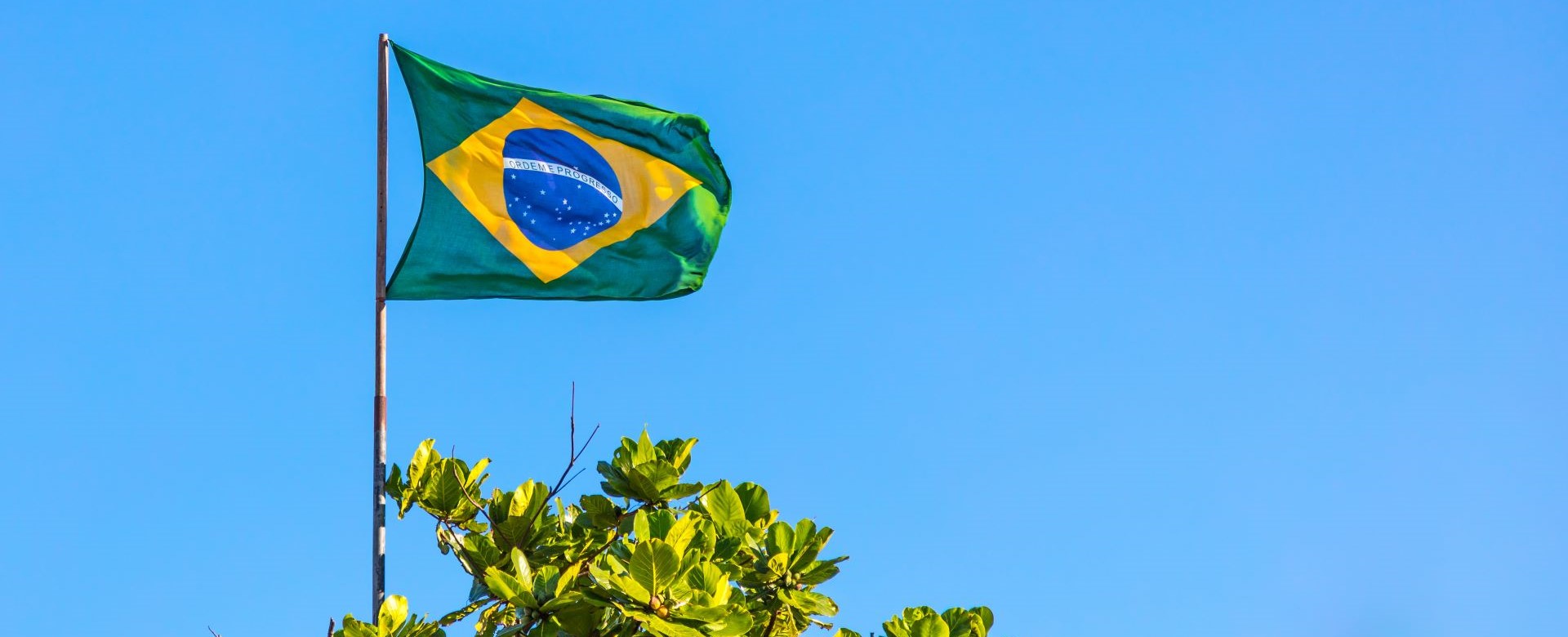 GlobalLF's tweet card. Looking to attend climate events in 2025? Check out our list of this year’s biggest environmental conferences, summits and more.