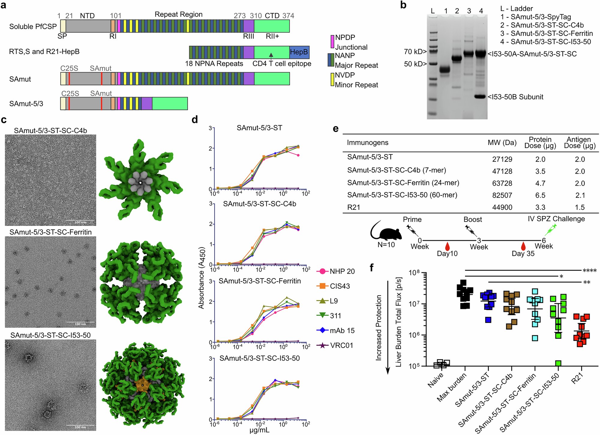 KingLabIPD's tweet card. npj Vaccines - Elicitation of liver-stage immunity by nanoparticle immunogens displaying P. falciparum CSP-derived antigens