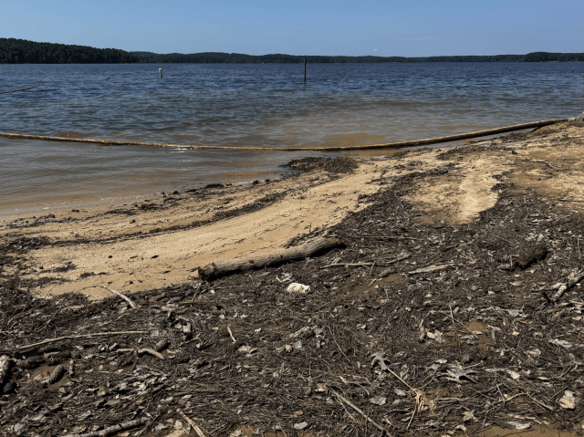 WNCN's tweet card. Weeks after Chantal delivered significant flooding to Jordan Lake, certain beach access is set to reopen this weekend, just in time for temperatures that could rise into the triple digits.