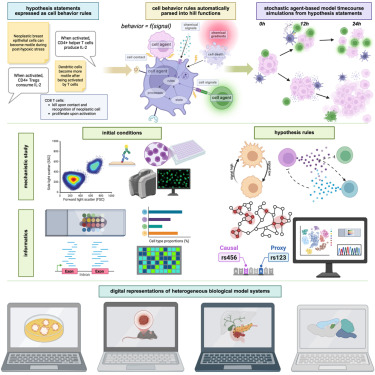 iPatho1's tweet card. We developed a plain text modeling language—a cell behavior hypothesis grammar—to easily build virtual cell models and connect them to data, helping scientists to unlock the hidden dynamics of...