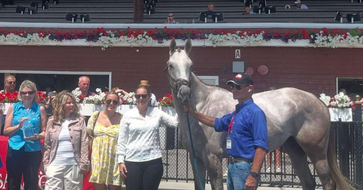 NewYorkTHA's tweet card. The gray filly is expected to take part in the Retired Racehorse Project's Thoroughbred Makeover later this year