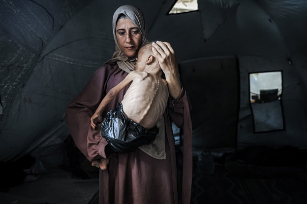 stevetimmer's tweet card. "No duty to feed Gazans, an Israeli official says"