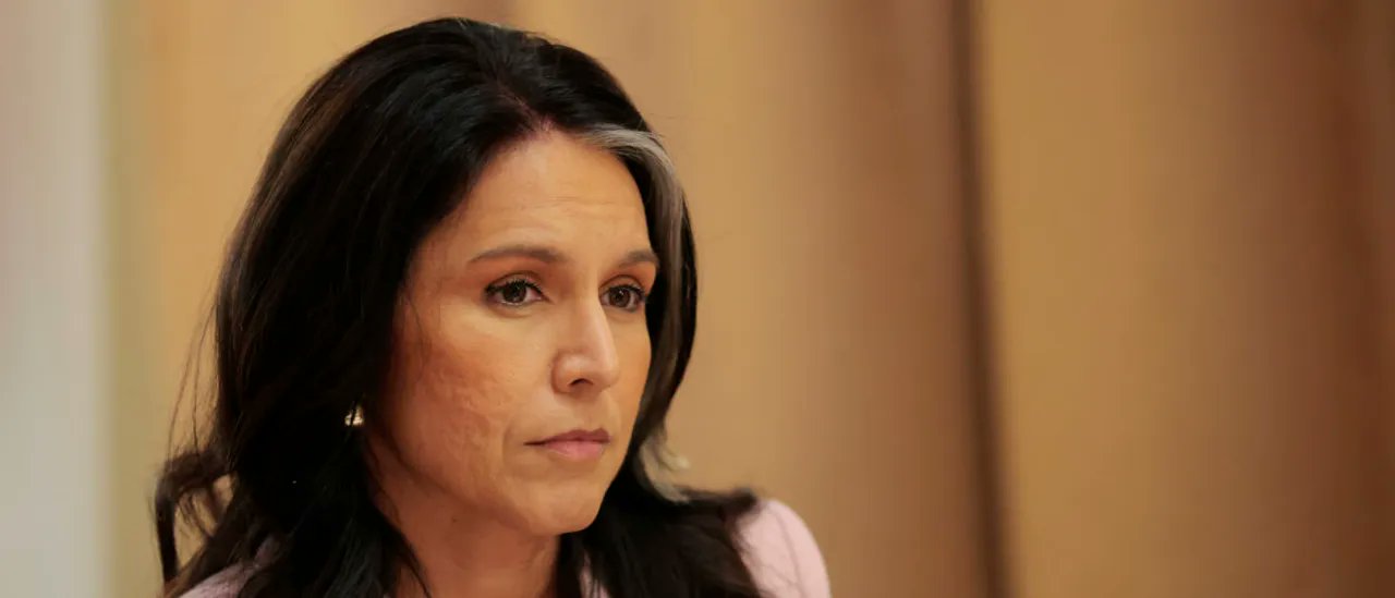 shecht6's tweet card. Tulsi Gabbard released what she called "overwhelming evidence" showing Obama and others "manufactured and politicized intelligence" after Trump's 2016 victory.