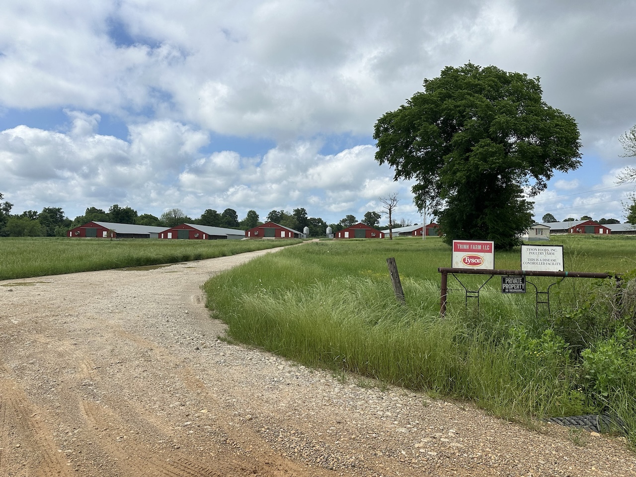 KeithIngramAR's tweet card. Arkansas will spend around $735,000 to improve drainage and water quality along unpaved roads in 12 counties, Gov. Sarah Huckabee Sanders’ office announced Thursday.