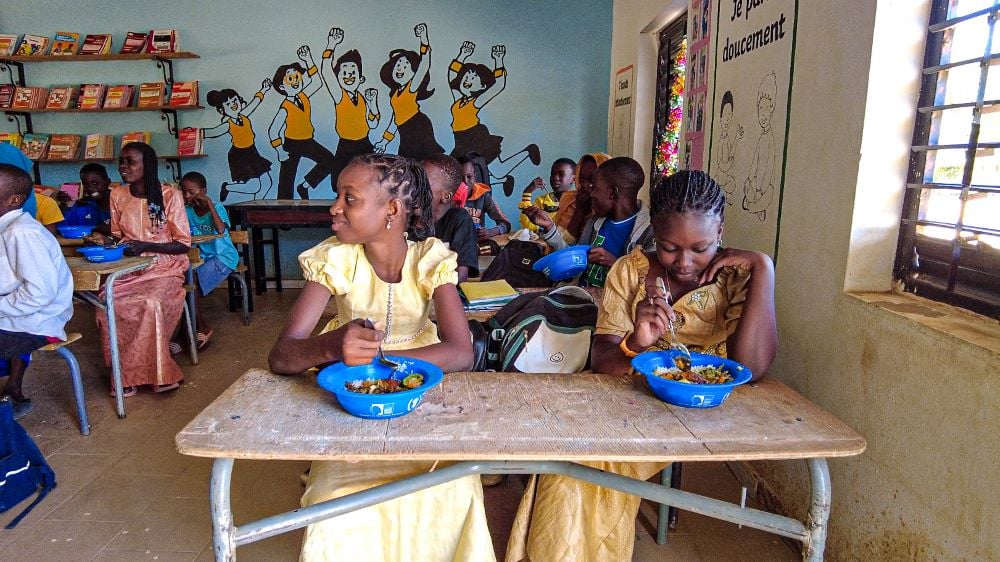 scidevafrique's tweet card. L’introduction du riz fortifié dans des écoles de la région de Matam au Sénégal permet de corriger les carences nutritionnelles des élèves, améliorant leurs résultats scolaires.