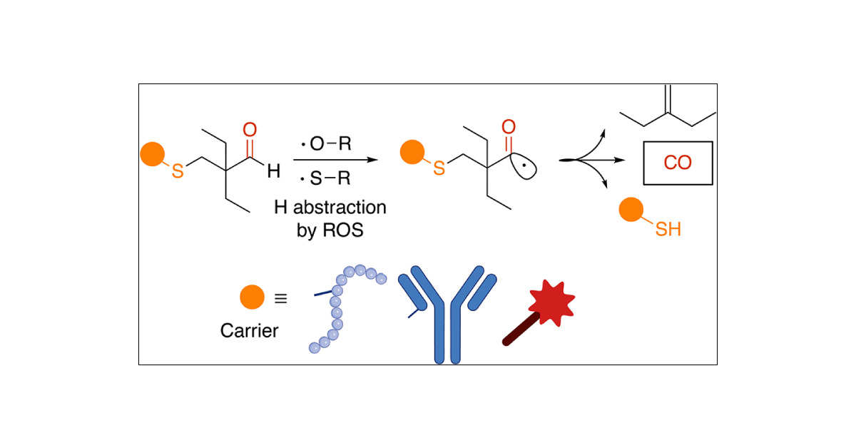 TomFiaLAB's tweet card. Carbon monoxide (CO) has demonstrated therapeutic benefits in reactive oxygen species (ROS)-rich environments, such as inflammation and cancer. However, the targeted delivery of CO remains challeng...