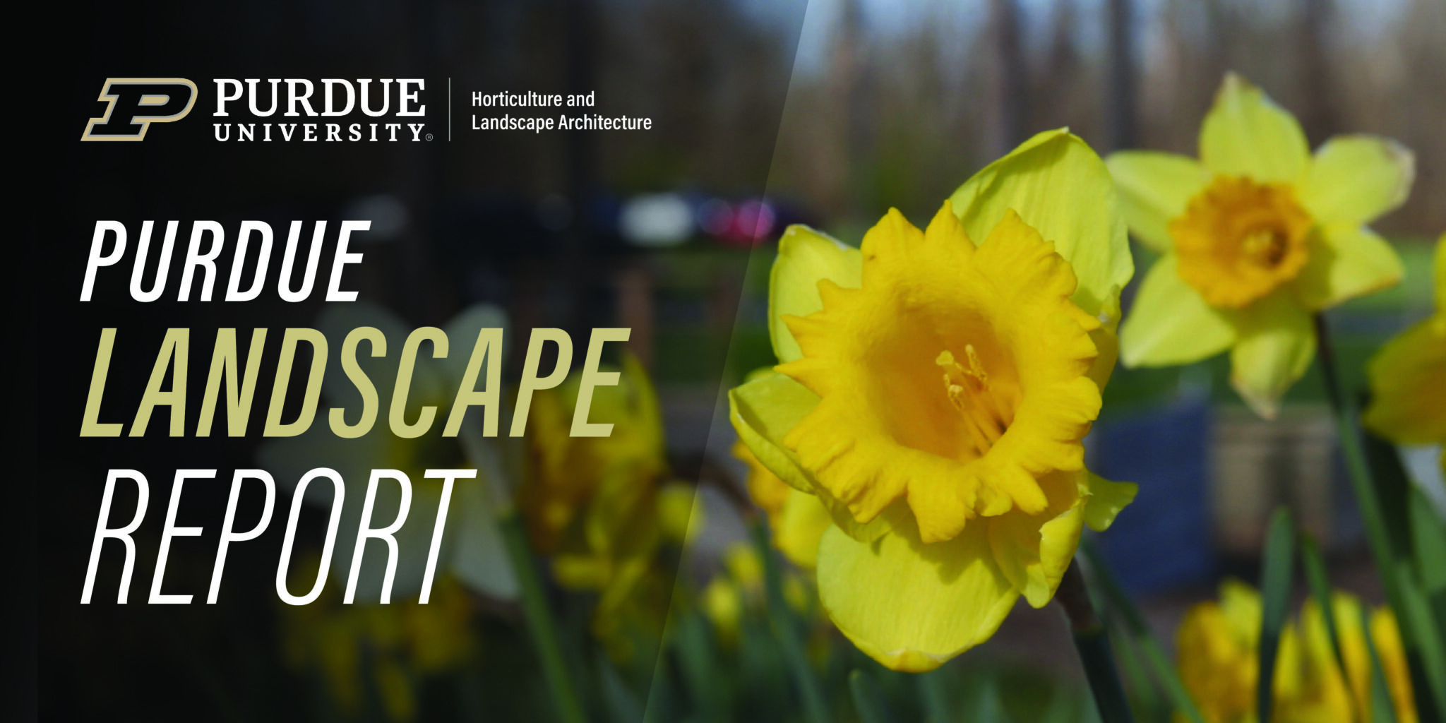 PurdueLandscape's tweet card. Resources for landscapes and gardens in the Midwest