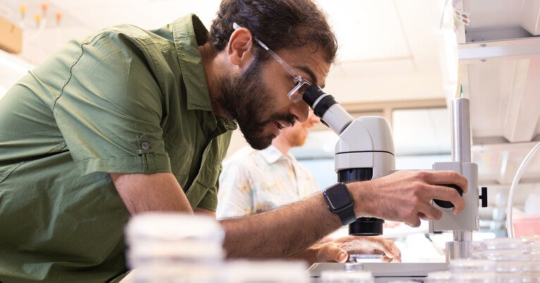 dacolon's tweet card. A new Yale study reveals that neurons store their own sugar reserves that kick in to keep the brain functioning during metabolic stress.