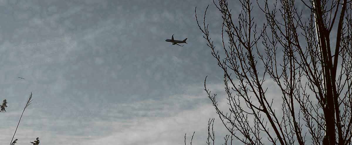 laveudelcarrer's tweet card. Article «L’aeroport del Prat, nou escenari de lluites de poder», publicat a la revista Carrer