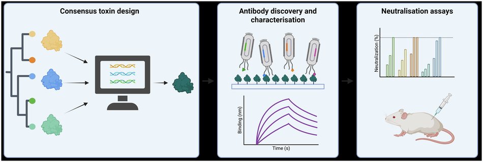 CommsChem's tweet card. Communications Chemistry - Snakebite envenoming remains a critical global health issue due to the diverse antigenic profiles of snake venoms. Here, the authors develop a long-chain consensus...