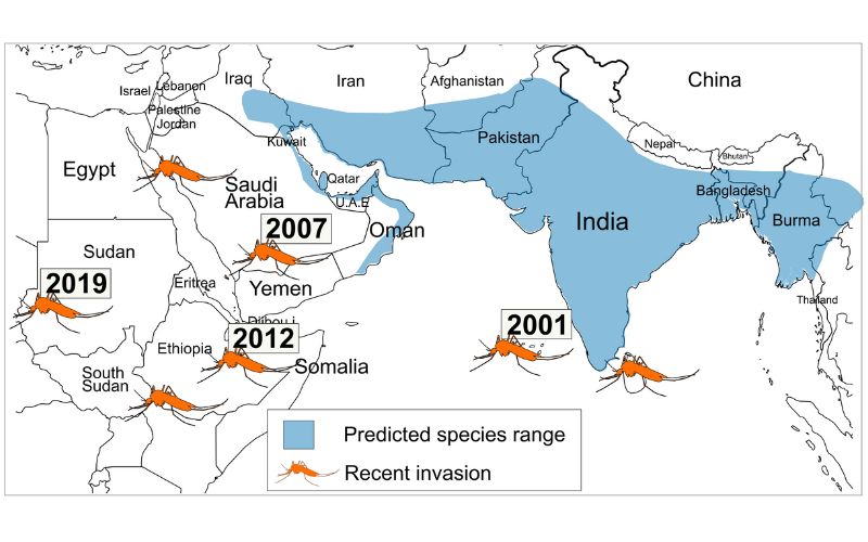 TAMU_Biology's tweet card. How DNA Variants Shape Survival: Dr. Mahul Chakraborty Explores the Hidden Forces of Evolution By: TAMU Biology  Dr. Mahul Chakraborty What makes one organism thrive while another struggles? For Dr....