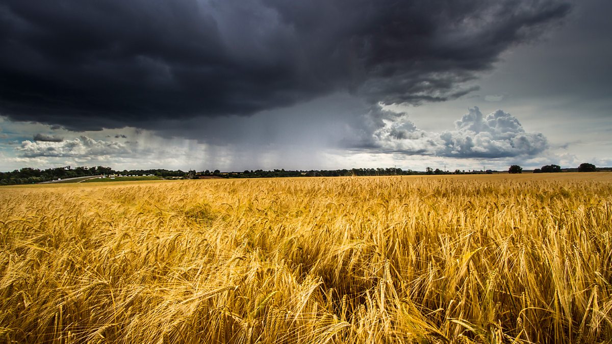 UCR_ScienceNews's tweet card. Melvyn Bragg and guests discuss 1816, known as the year without a summer.