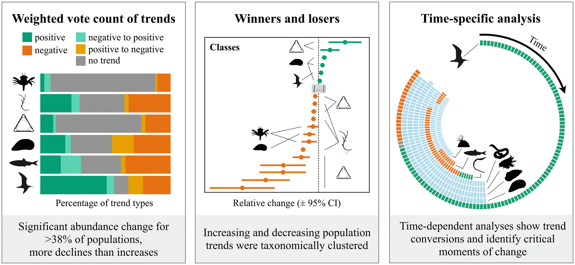 Seabirders's tweet card. We present a systematic and quantitative analysis of population trends to capture the seascape-wide reorganisation of biodiversity from microalgae to birds. First, we categorised population trends...